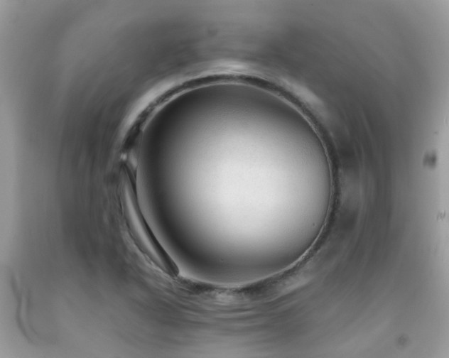 X0000091961318200709061253