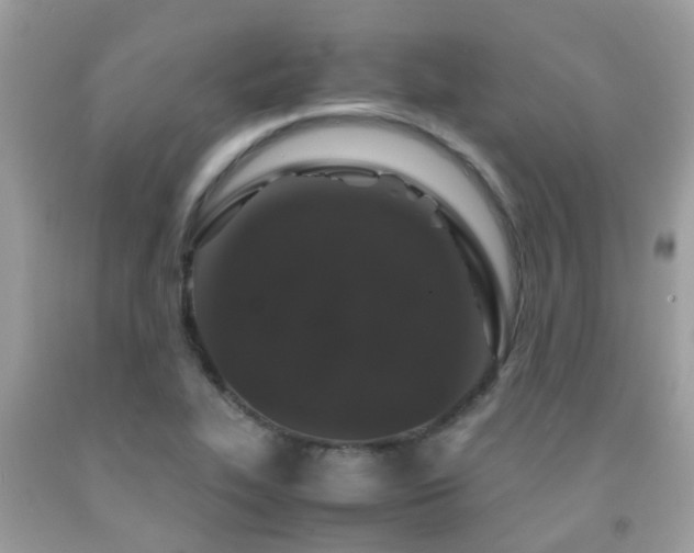 X0000091961319200709061253