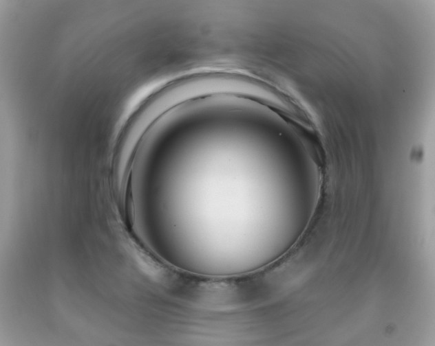 X0000091961320200709061253