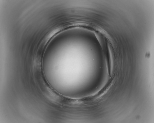 X0000091961321200709061253