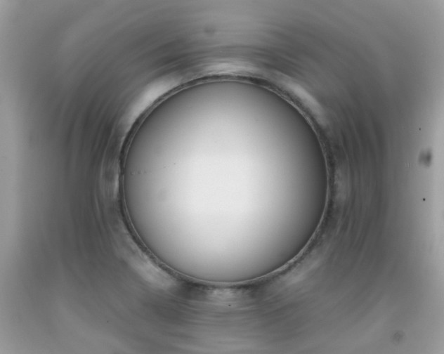 X0000091961322200709061253