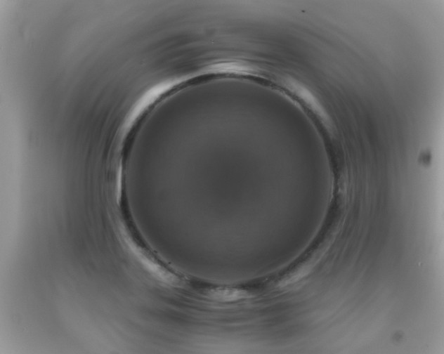 X0000091961323200709061253