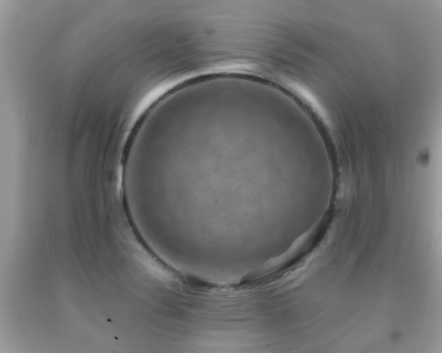 X0000091961324200709061253