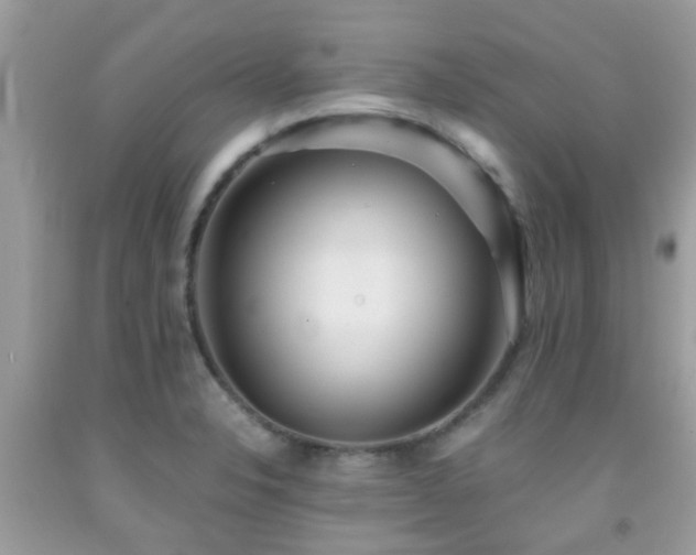 X0000091961326200709061253