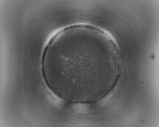 X0000091961327200709061253