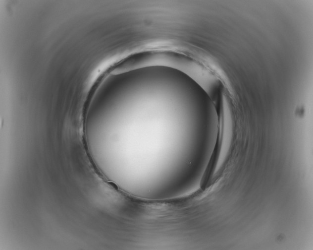 X0000091961328200709061253