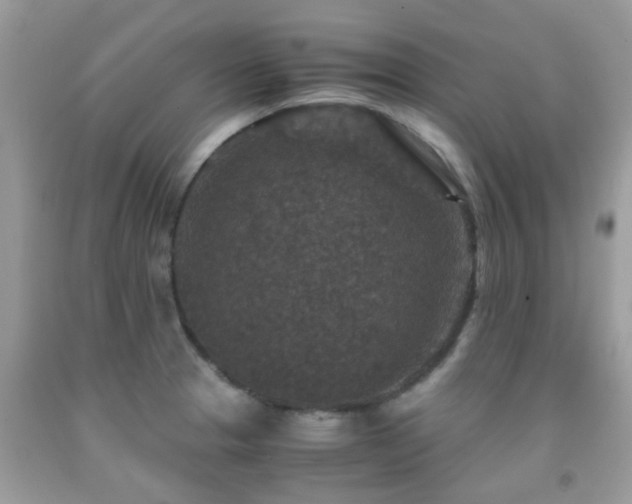 X0000091961329200709061253