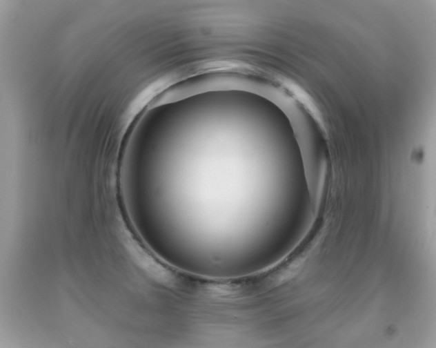 X0000091961330200709061253