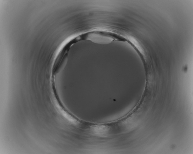 X0000091961331200709061253