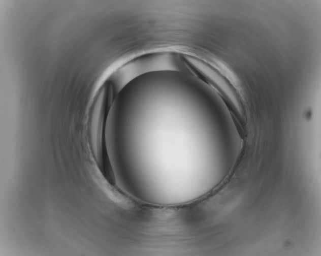 X0000091961332200709061253