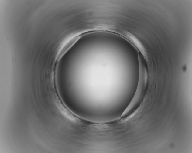 X0000091961340200709061254