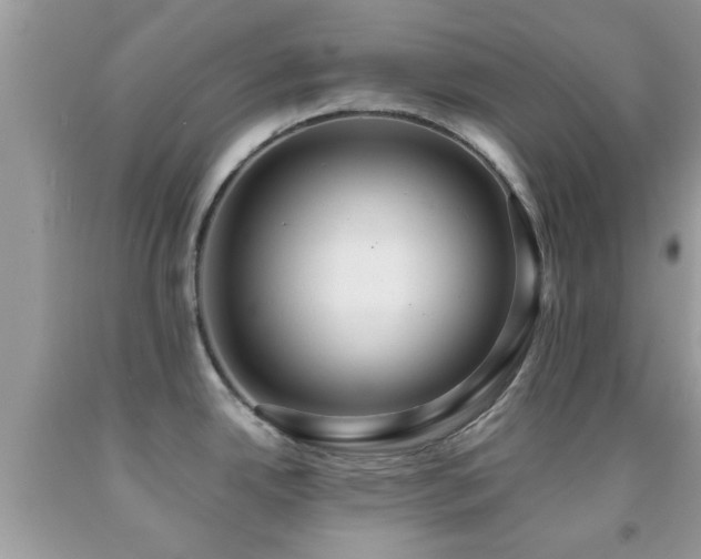 X0000091961342200709061254