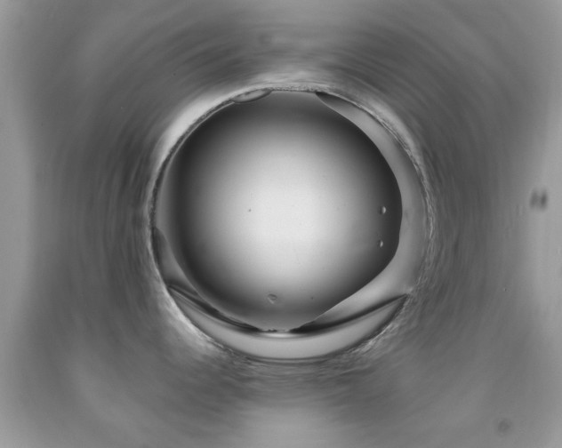 X0000091961344200709061254