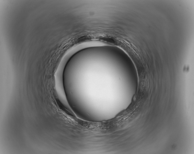 X0000091961345200709061253