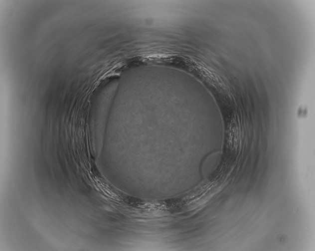 X0000091961346200709061253