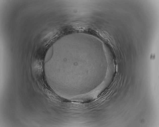 X0000091961347200709061253