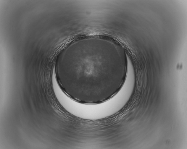 X0000091961348200709061253