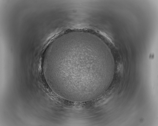 X0000091961350200709061253