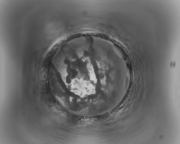 X0000091961351200709061253