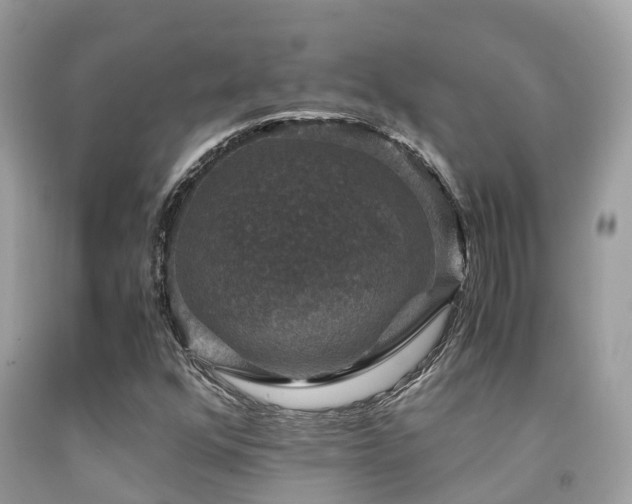 X0000091961352200709061253