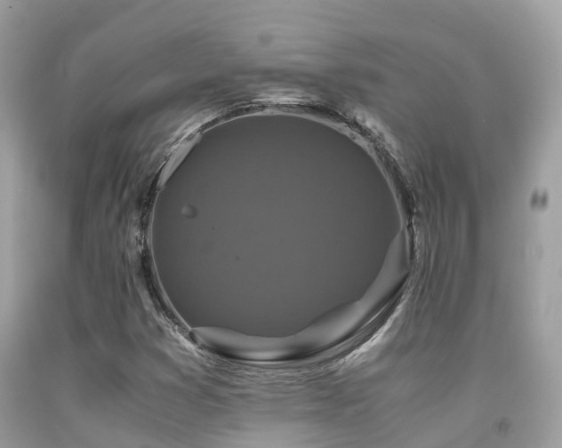 X0000091961353200709061253