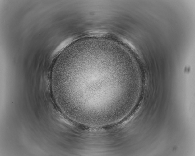 X0000091961354200709061253