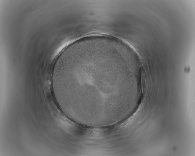 X0000091961355200709061253