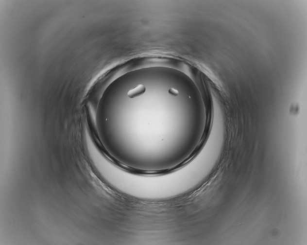 X0000091961356200709061253