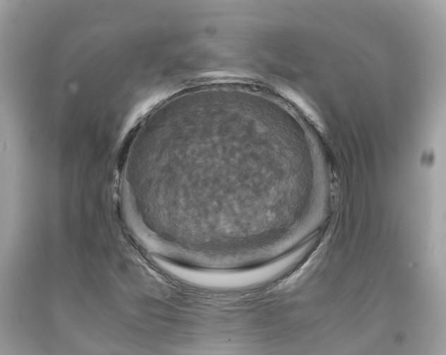 X0000091961357200709061253