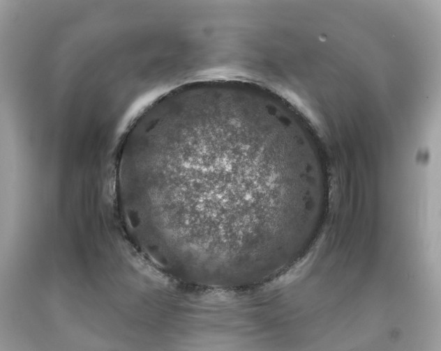 X0000091961358200709061253