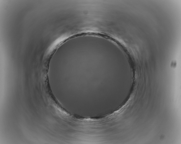 X0000091961359200709061253