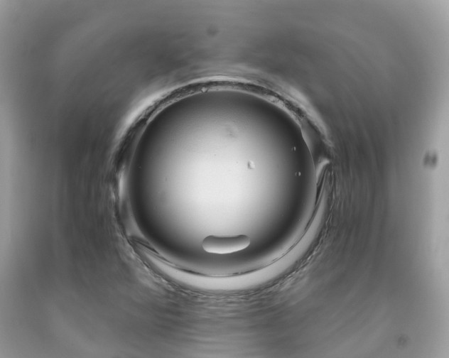 X0000091961360200709061253