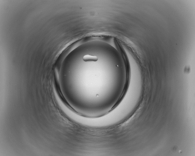 X0000091961361200709061253