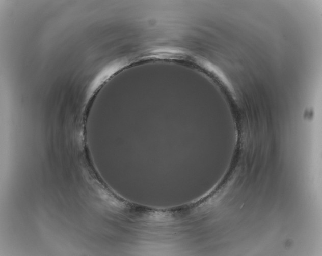 X0000091961362200709061253