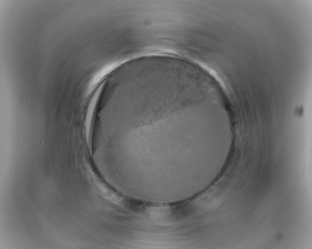 X0000091961363200709061253