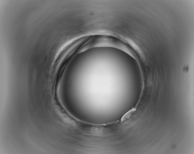 X0000091961364200709061253