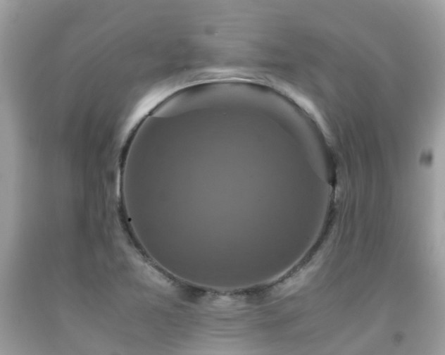 X0000091961365200709061253