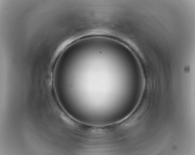 X0000091961366200709061253