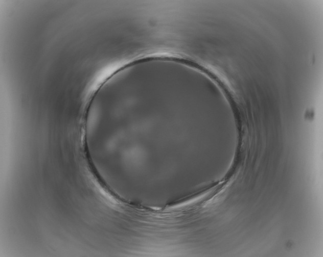 X0000091961367200709061253