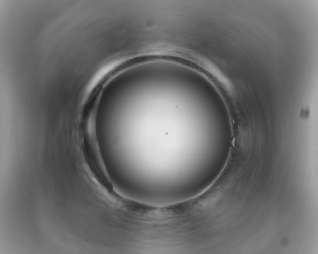 X0000091961368200709061253