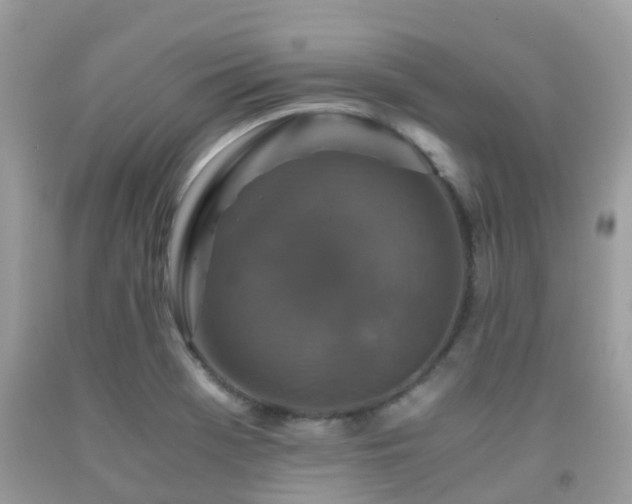 X0000091961369200709061253