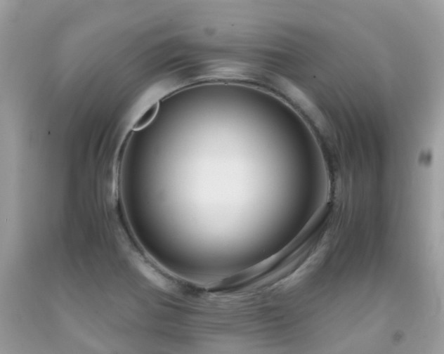 X0000091961370200709061253