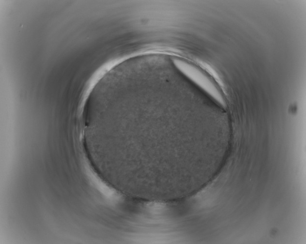 X0000091961371200709061253