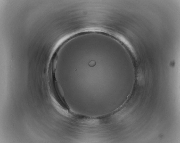 X0000091961372200709061253