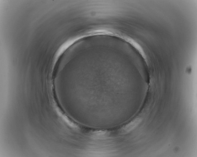 X0000091961373200709061253