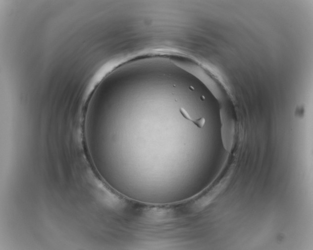 X0000091961374200709061253