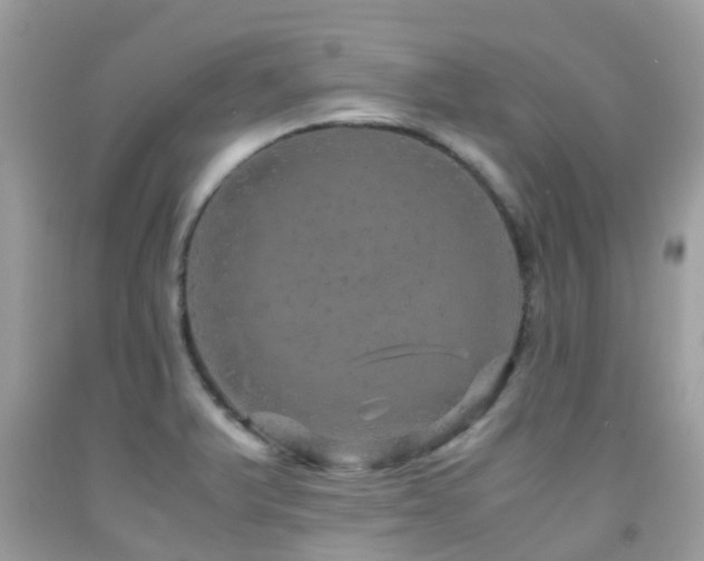 X0000091961375200709061252