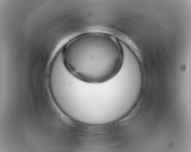 X0000091961376200709061252