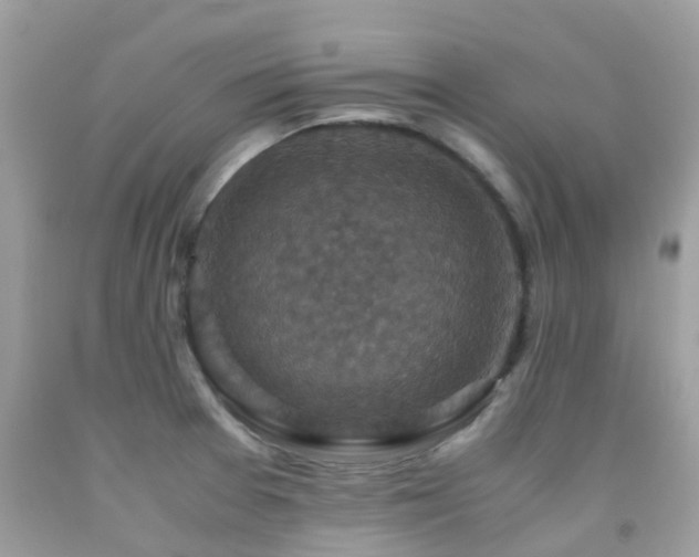 X0000091961377200709061252