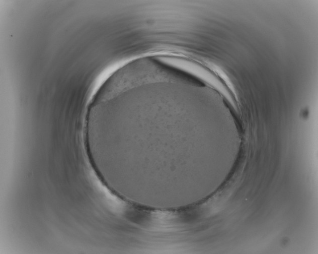 X0000091961379200709061252